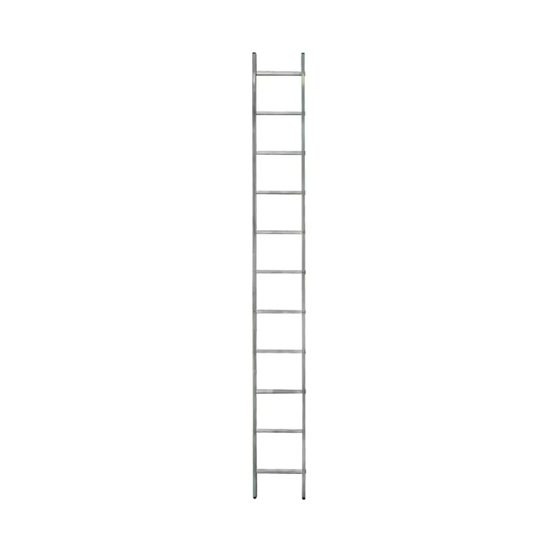   Лестница приставная односекционная 11 ступеней, СИЛАЧ 1*11, 3,13 м (1/5)