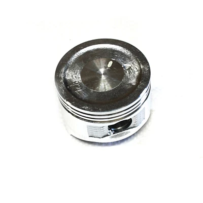 Поршень БГ-2500