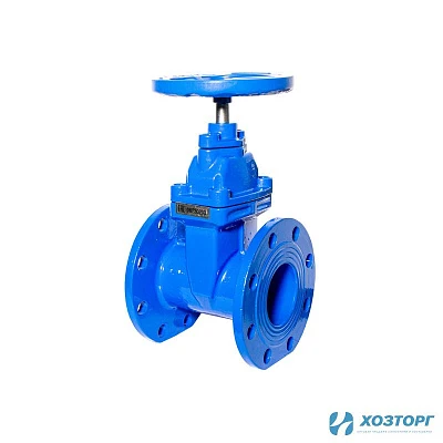 Задвижка 30ч39р с обрезиненным клином ДУ  80 (1/1)