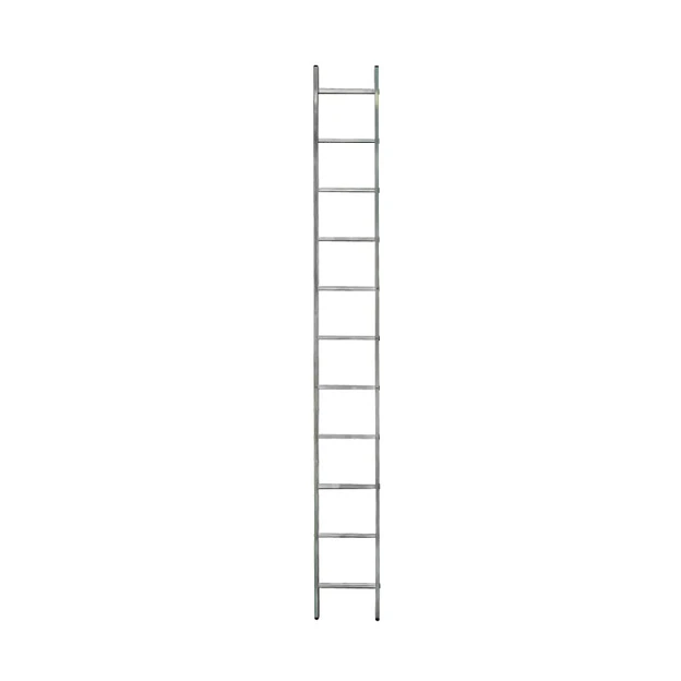   Лестница приставная односекционная 11 ступеней, СИЛАЧ 1*11, 3,13 м (1/5)