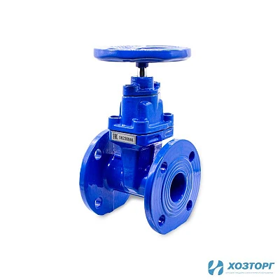 Задвижка 30ч39р с обрезиненным клином ДУ  50 (1/1)