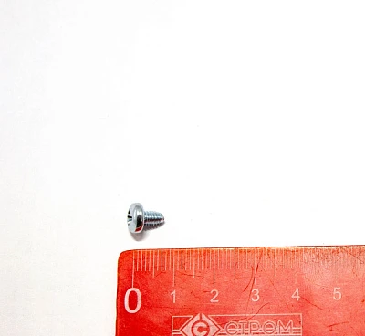 Болт M4*6 БГК-4627СW