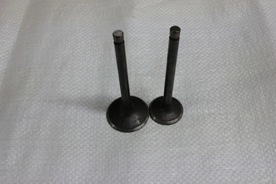 Клапан впуск + выпуск 186F