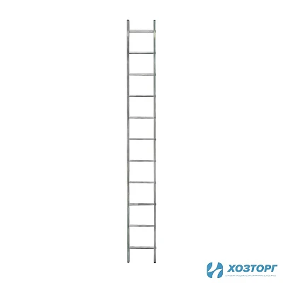Лестница приставная односекционная 11 ступеней, ВАРЯГ 1*11, 3,13 м (1/5)