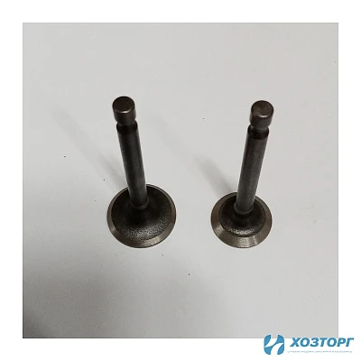 Клапан(впуск+выпуск)  СИЛАЧ БГ-1500