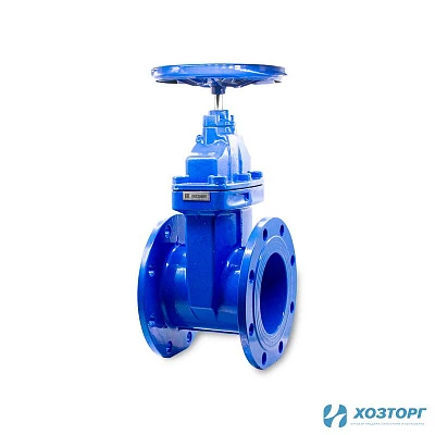 Задвижка 30ч39р с обрезиненным клином ДУ 150 (1/1)