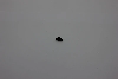 Шпонка ДП-160/1500F